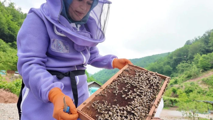 Kadın &uuml;reticinin hayatını bakanlık desteği değiştirdi