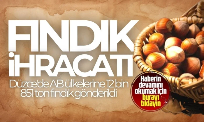 AB ülkelerine 12 bin 851 ton fındık