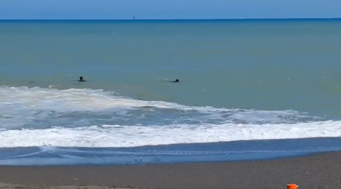 Akçakoca'da 16 yaşındaki İbrahim Kolcu, denizde kayboldu