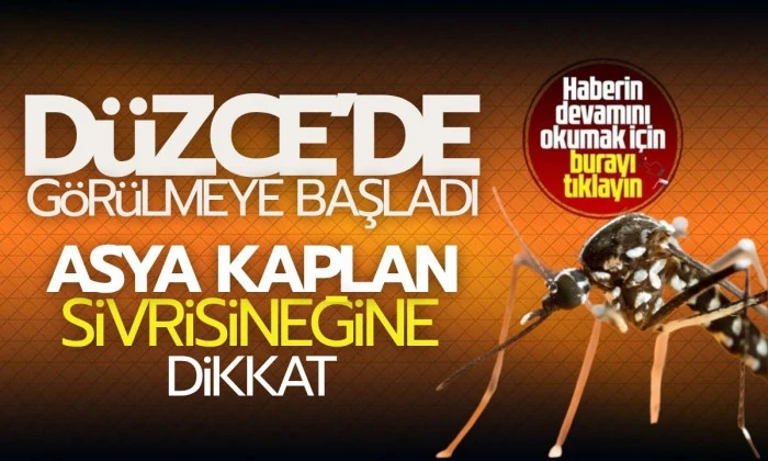 Düzce’de görülmeye başladı
