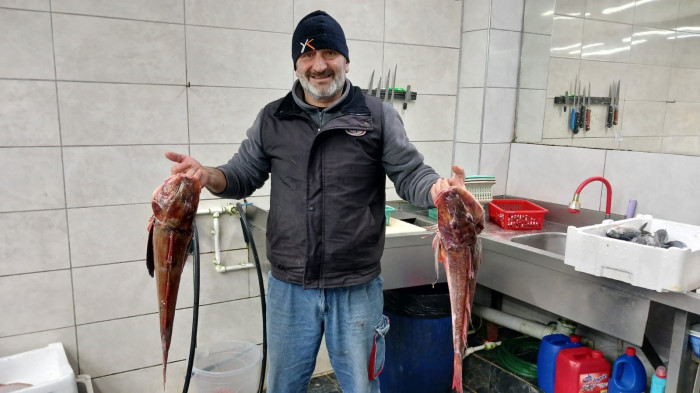 Akçakoca'da balıkçıların ağları doldu, 9 kiloluk levrek yakalandı