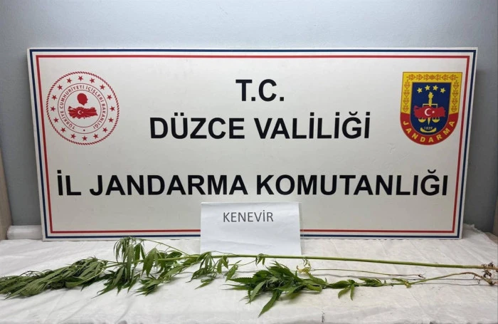 Jandarma&rsquo;dan uyuşturucu operasyonu