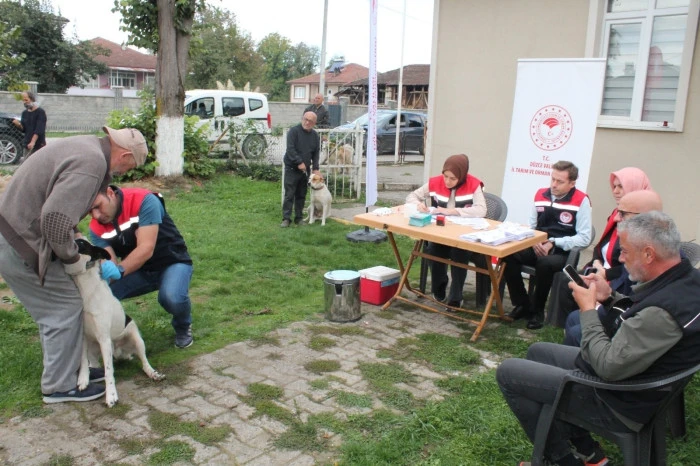 Son tarih 31 Aralık 2025