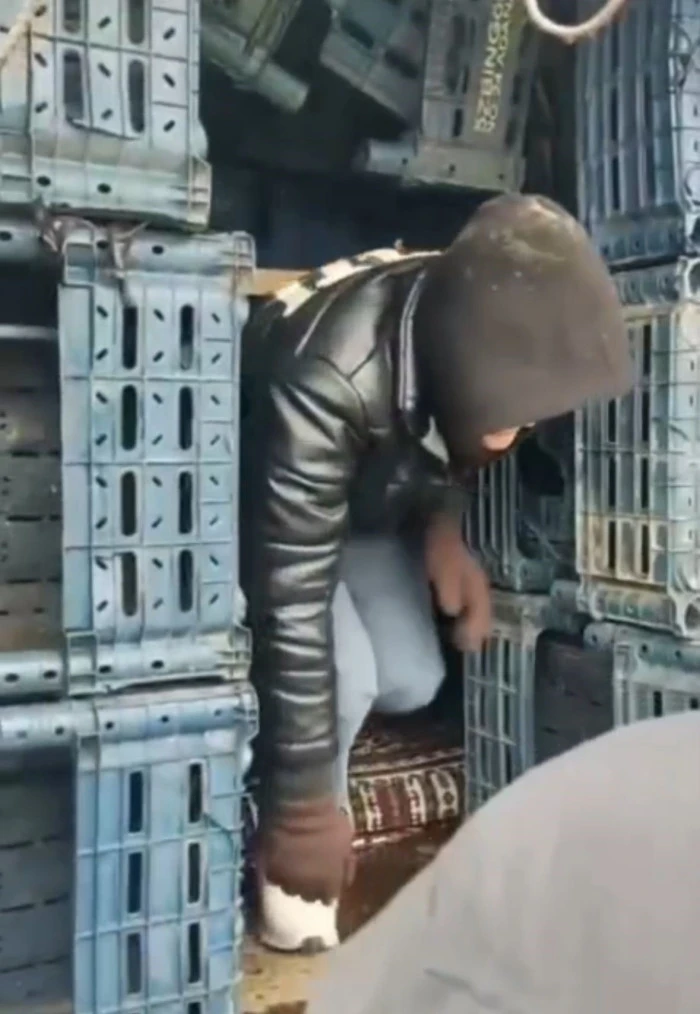 D&uuml;zce'de kamyon kasasında 14 d&uuml;zensiz g&ouml;&ccedil;men yakalandı