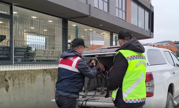 D&uuml;zce'de Su&ccedil; &Ouml;rg&uuml;t&uuml; Operasyonu: 36 G&ouml;zaltı