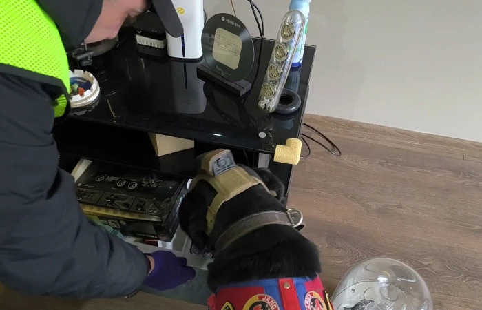 D&uuml;zce'de Su&ccedil; &Ouml;rg&uuml;t&uuml; Operasyonu: 36 G&ouml;zaltı