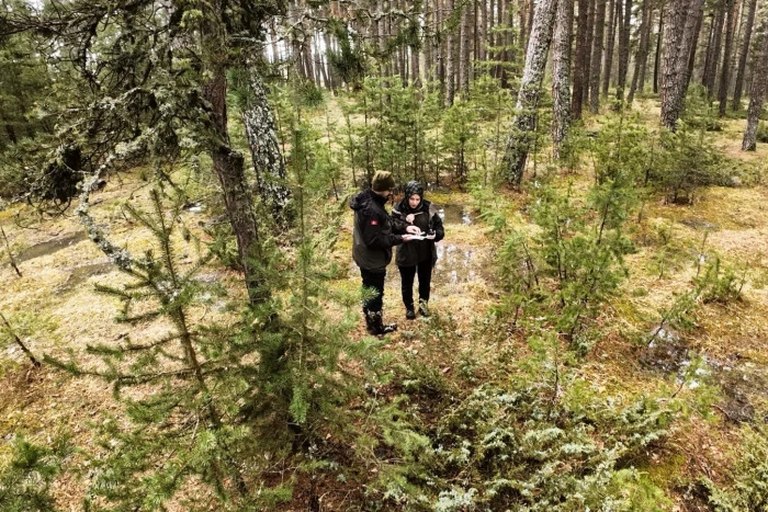 Oryantiring parkurunda D&uuml;zce ikinci oldu