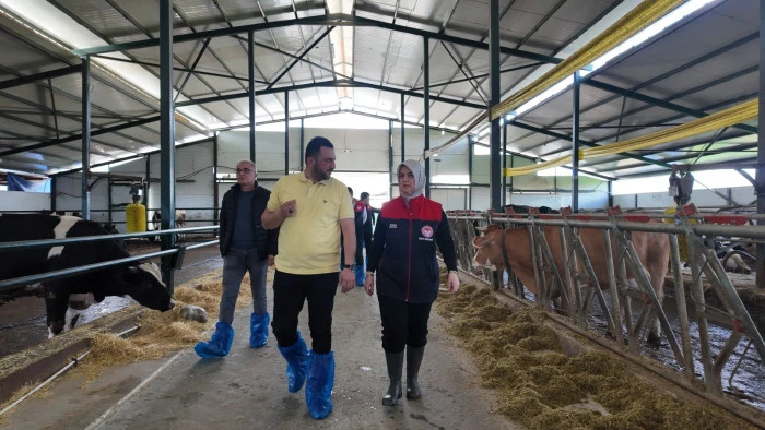 D&uuml;zce&rsquo;de ari işletme sayısı artıyor..