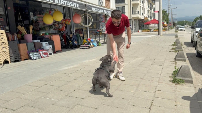 Henüz yeni dökülmüş ve kurumamış betonun içine girdi.