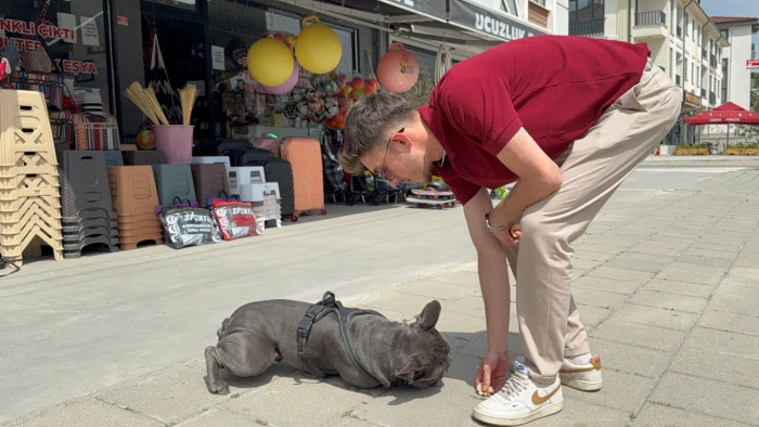 Henüz yeni dökülmüş ve kurumamış betonun içine girdi.