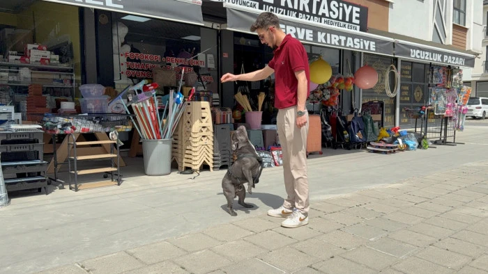 Henüz yeni dökülmüş ve kurumamış betonun içine girdi.