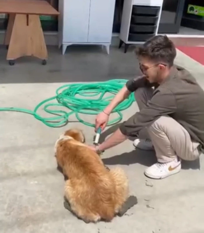 Henüz yeni dökülmüş ve kurumamış betonun içine girdi.