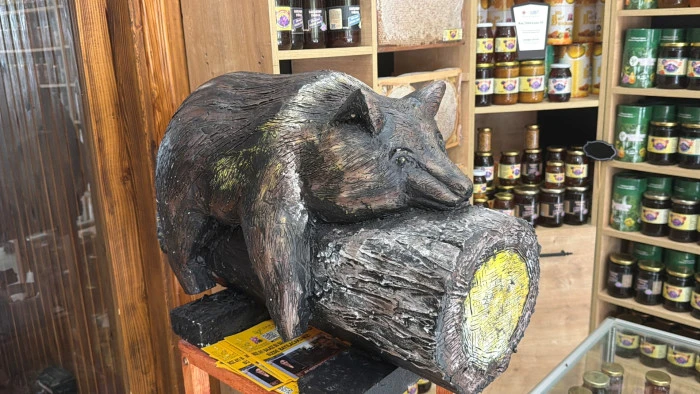 Bayılan ayı dekoruyla orman g&uuml;l&uuml; balı satıyor