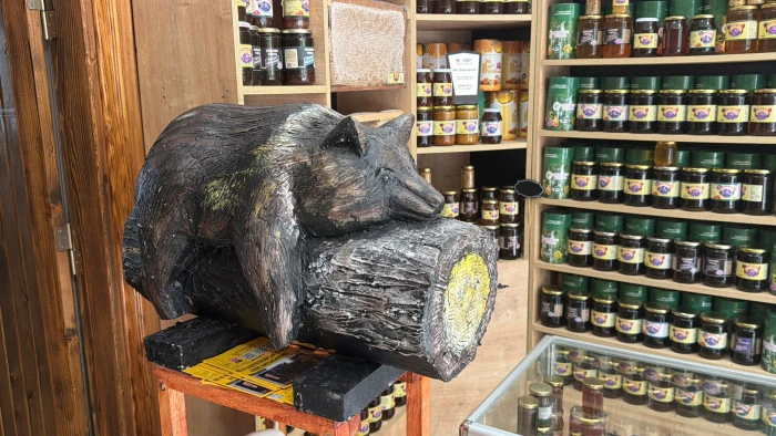 Bayılan ayı dekoruyla orman g&uuml;l&uuml; balı satıyor