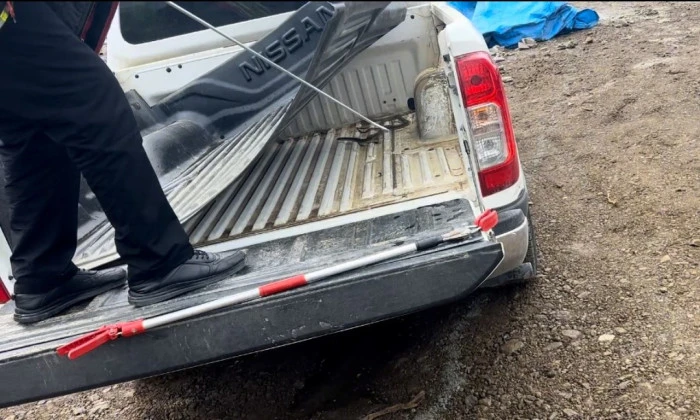 Aracının i&ccedil;ine giren yılanı b&ouml;yle uğurladı