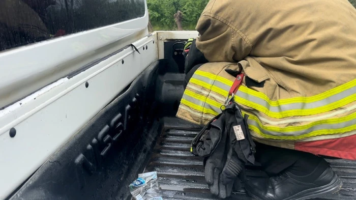 Aracının i&ccedil;ine giren yılanı b&ouml;yle uğurladı