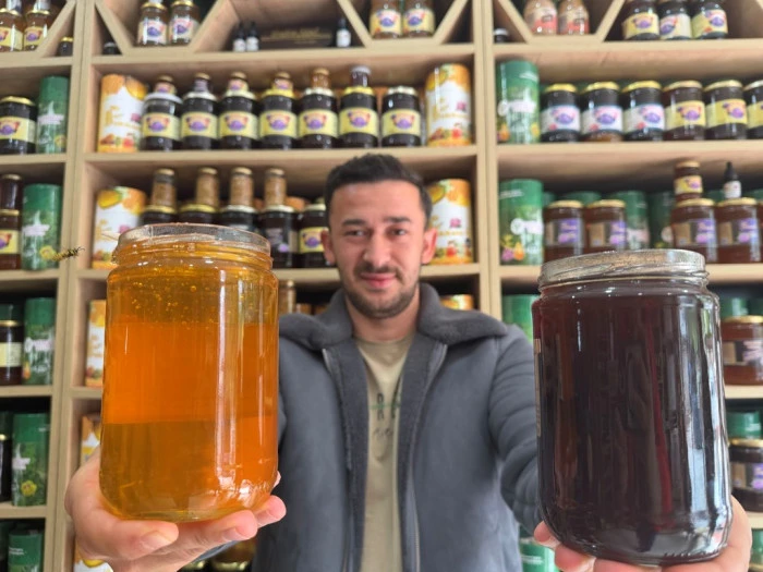 Kış Balı Testi: Kristalize mi Sahte mi