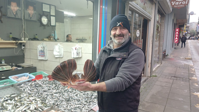 Balık tezgahının gözdesi kalkan ve kırlangıç oldu! 