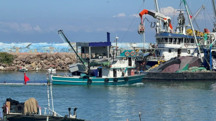 Ak&ccedil;akoca'da Hamsi Avı ve Soğuk Hava Etkisi