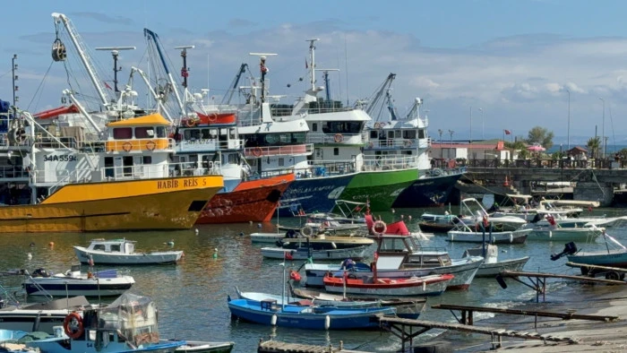 Ak&ccedil;akoca'da Hamsi Avı ve Soğuk Hava Etkisi
