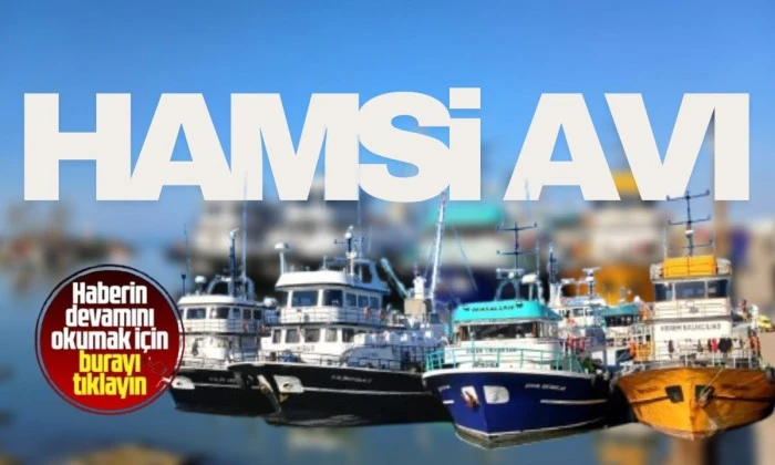 Ak&ccedil;akoca'da Hamsi Avı ve Soğuk Hava Etkisi
