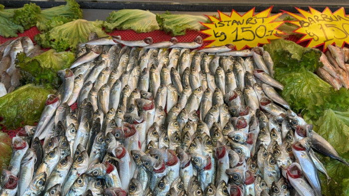 Batı Karadeniz bölgesinde lodos tezgaha balık uyarısı!