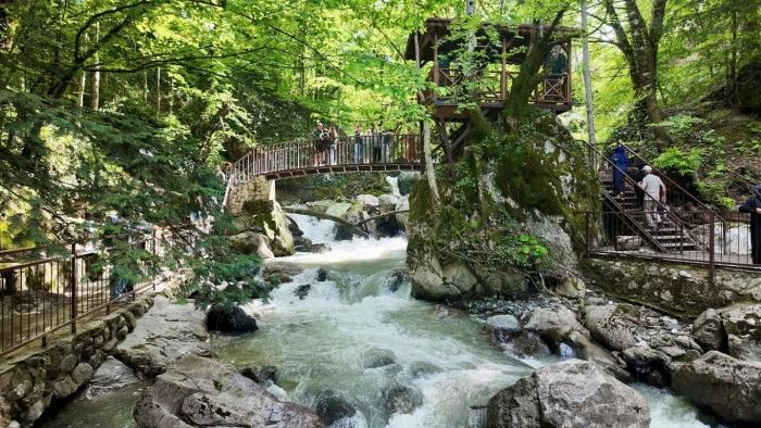 TABİAT PARKLARI 24 BİN ZİYARET&Ccedil;İ AĞIRLADI