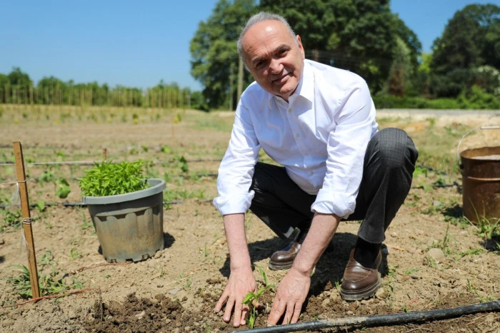 Ata tohumu ile yerel ürünler çoğalıyor: Düzce'de ilk ekim yapıldı