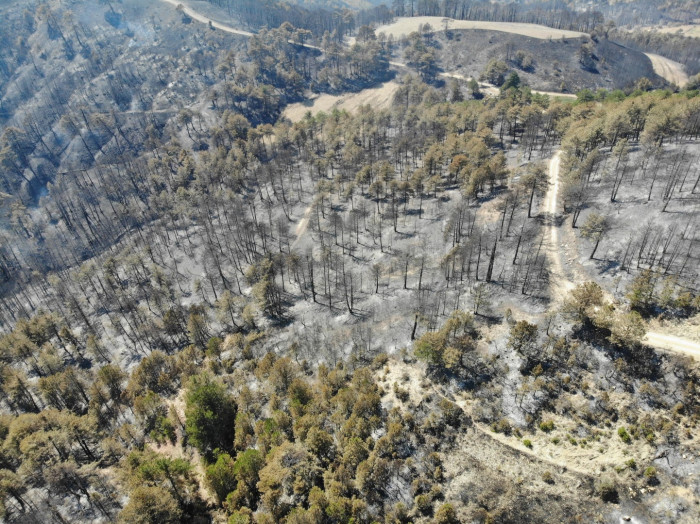 Göynük'teki yangının ardından yeşil alanlar siyaha döndü