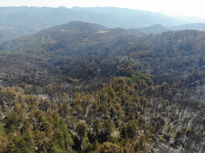 Göynük'teki yangının ardından yeşil alanlar siyaha döndü