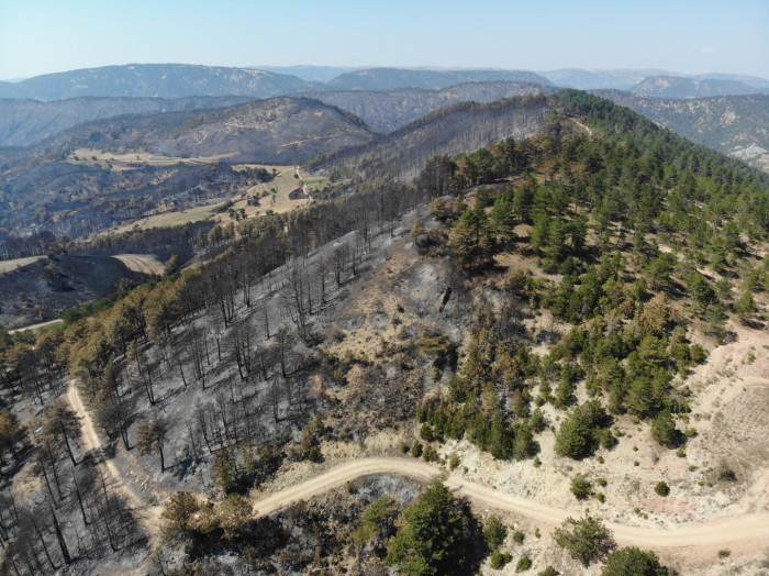 Göynük'teki yangının ardından yeşil alanlar siyaha döndü