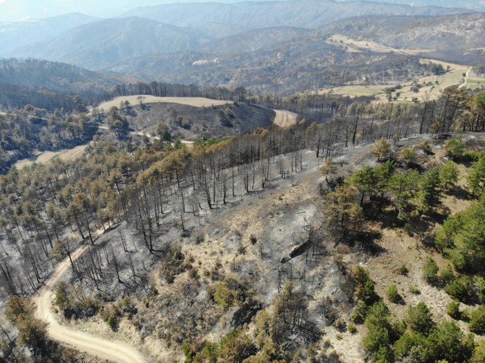 Göynük'teki yangının ardından yeşil alanlar siyaha döndü