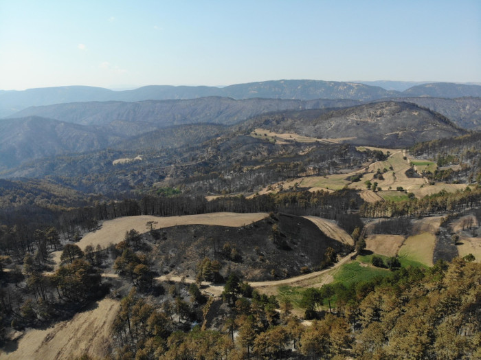 Göynük'teki yangının ardından yeşil alanlar siyaha döndü