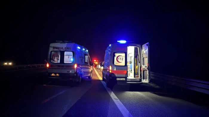 Bolu TEM’de can pazarı