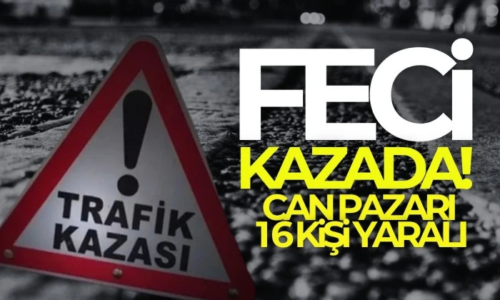 Bolu TEM’de can pazarı