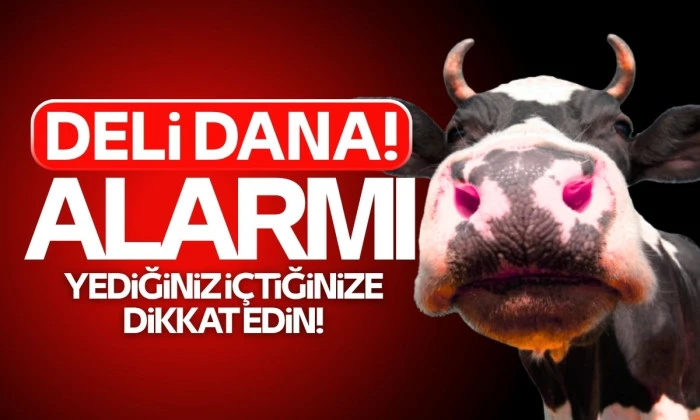 'Deli dana' uyarısı