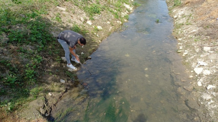 Deredeki canlılar Tarım ilaçlarının kurbanı oldu
