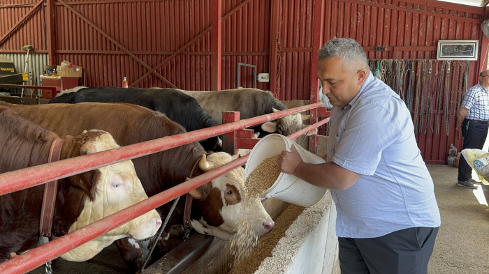 Destekle hayvan sayısını 4'e katladı