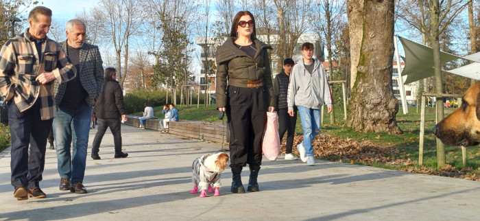 Doğum günü köpeği gofret hediye mamalar ile sokak hayvanlarını besledi