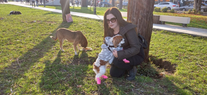 Doğum günü köpeği gofret hediye mamalar ile sokak hayvanlarını besledi