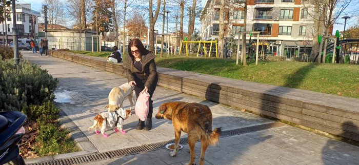 Doğum günü köpeği gofret hediye mamalar ile sokak hayvanlarını besledi