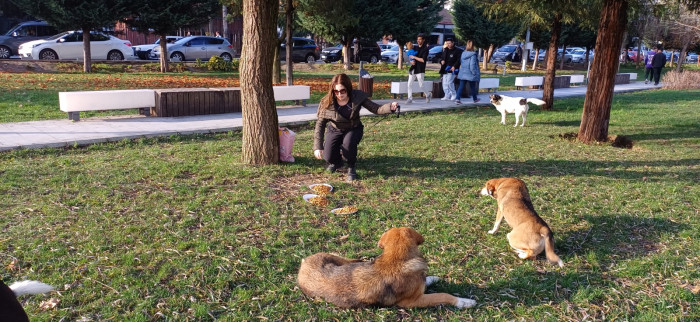 Doğum günü köpeği gofret hediye mamalar ile sokak hayvanlarını besledi