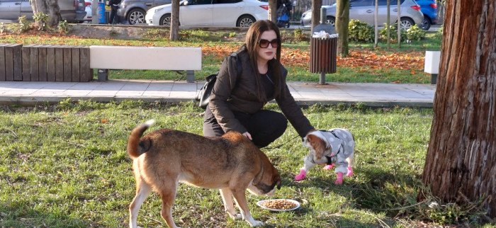 Doğum günü köpeği gofret hediye mamalar ile sokak hayvanlarını besledi