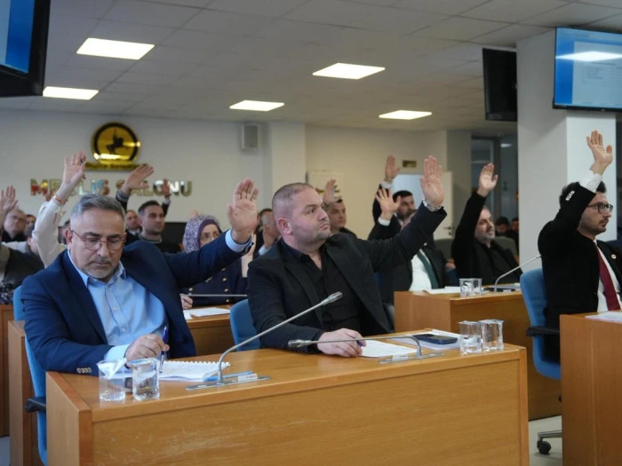 Dikkat &Ccedil;eken Kararlar