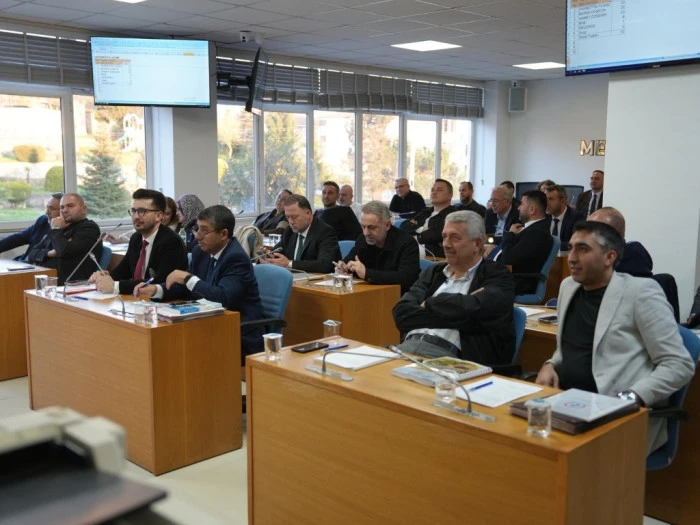 Dikkat &Ccedil;eken Kararlar