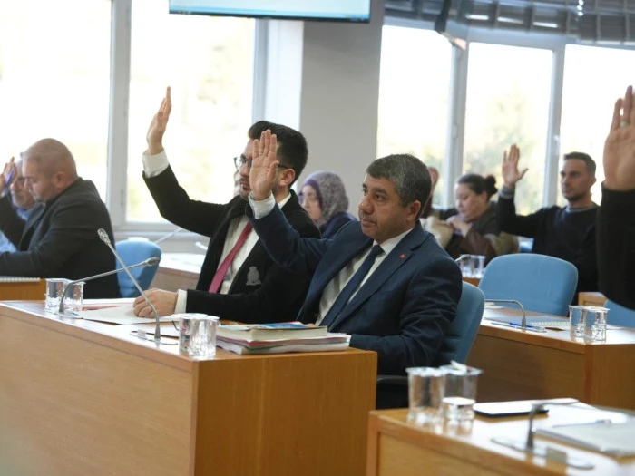 Dikkat &Ccedil;eken Kararlar