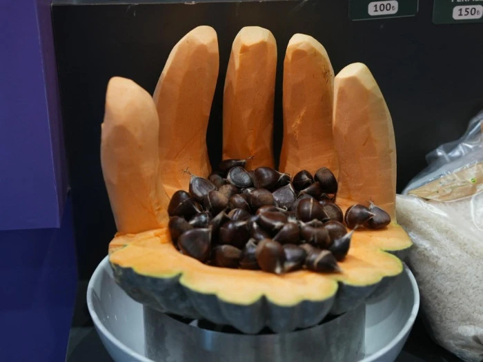 Başkan özlü, fuarın ilk gününü değerlendirdi