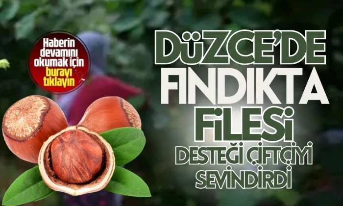 Hasat Filesiyle Fındık Kalitesi Y&uuml;kseliyor