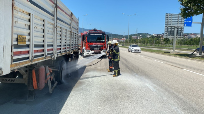Lastiği patlayan tırda yangın çıktı