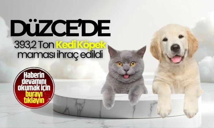 Düzce, 2025'te en çok ihraç ettiği ürünler arasına evcil hayvan mamasını da ekledi